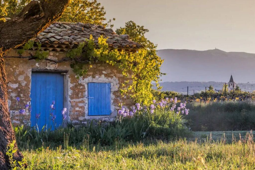 Provence française