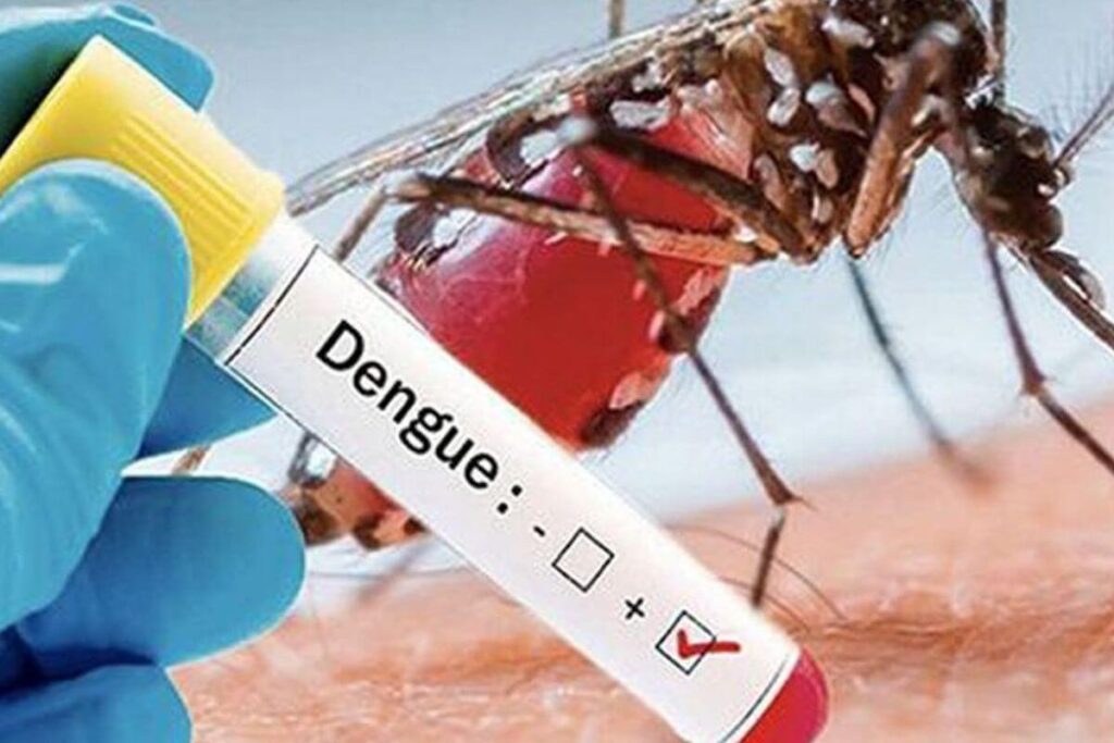 Symptômes dengue